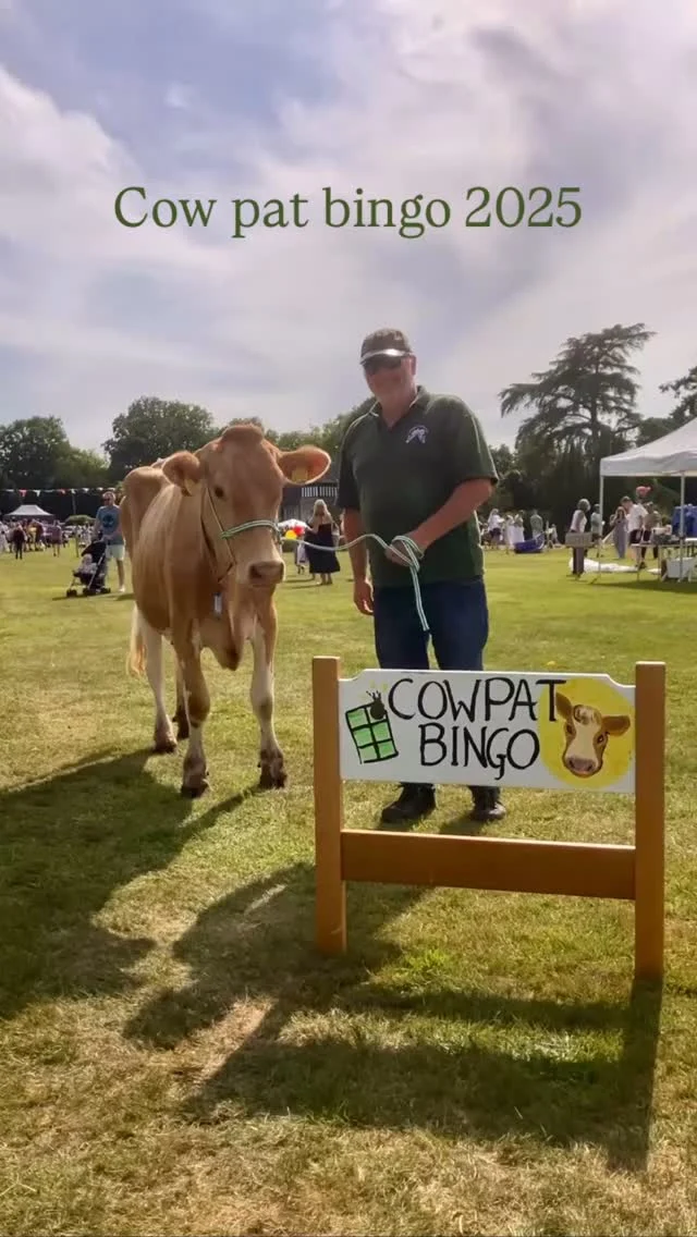 A fantastic afternoon at @benenden_fete with Minnie.  She was a superstar and dutifully performed in the Cow Pat Bingo.